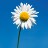 Daisy2021 Profile